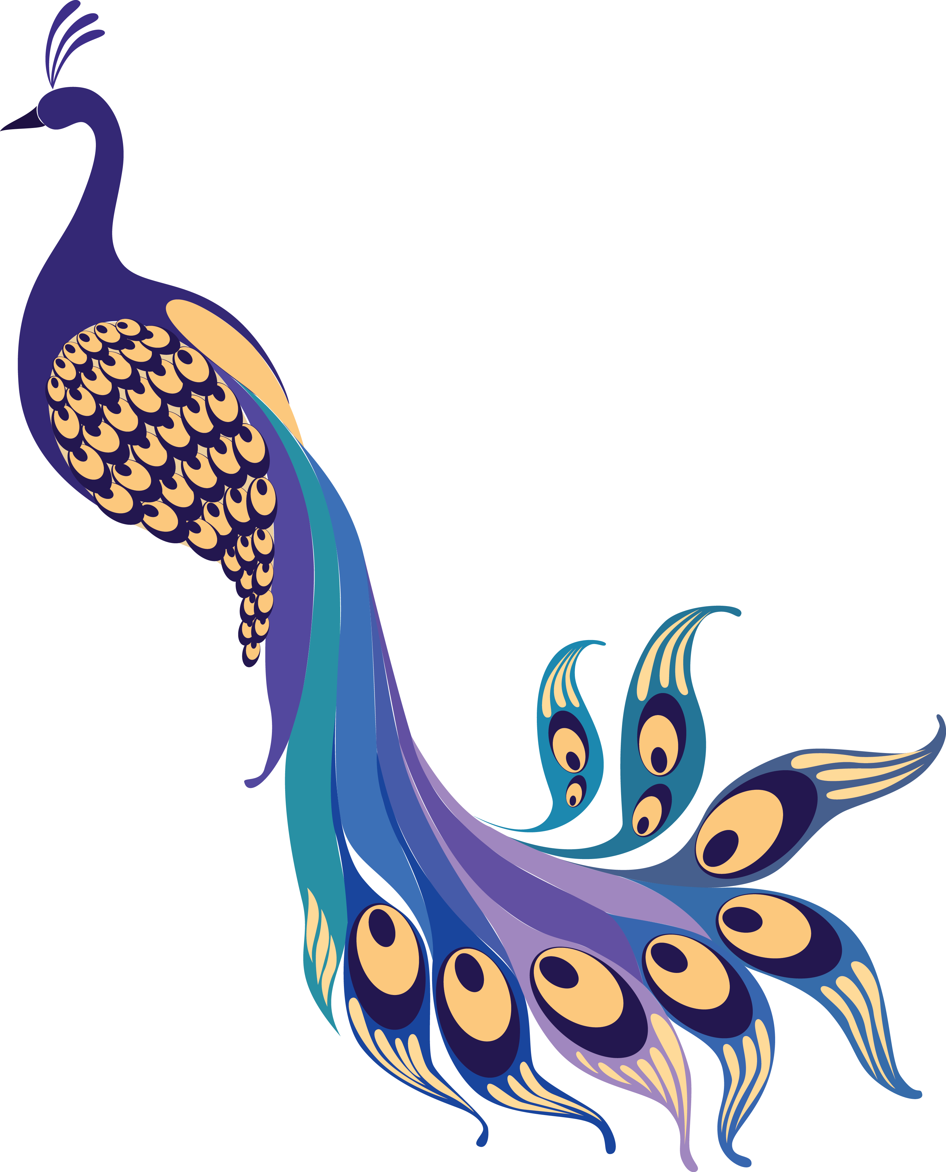 Peacock PNG Image Background