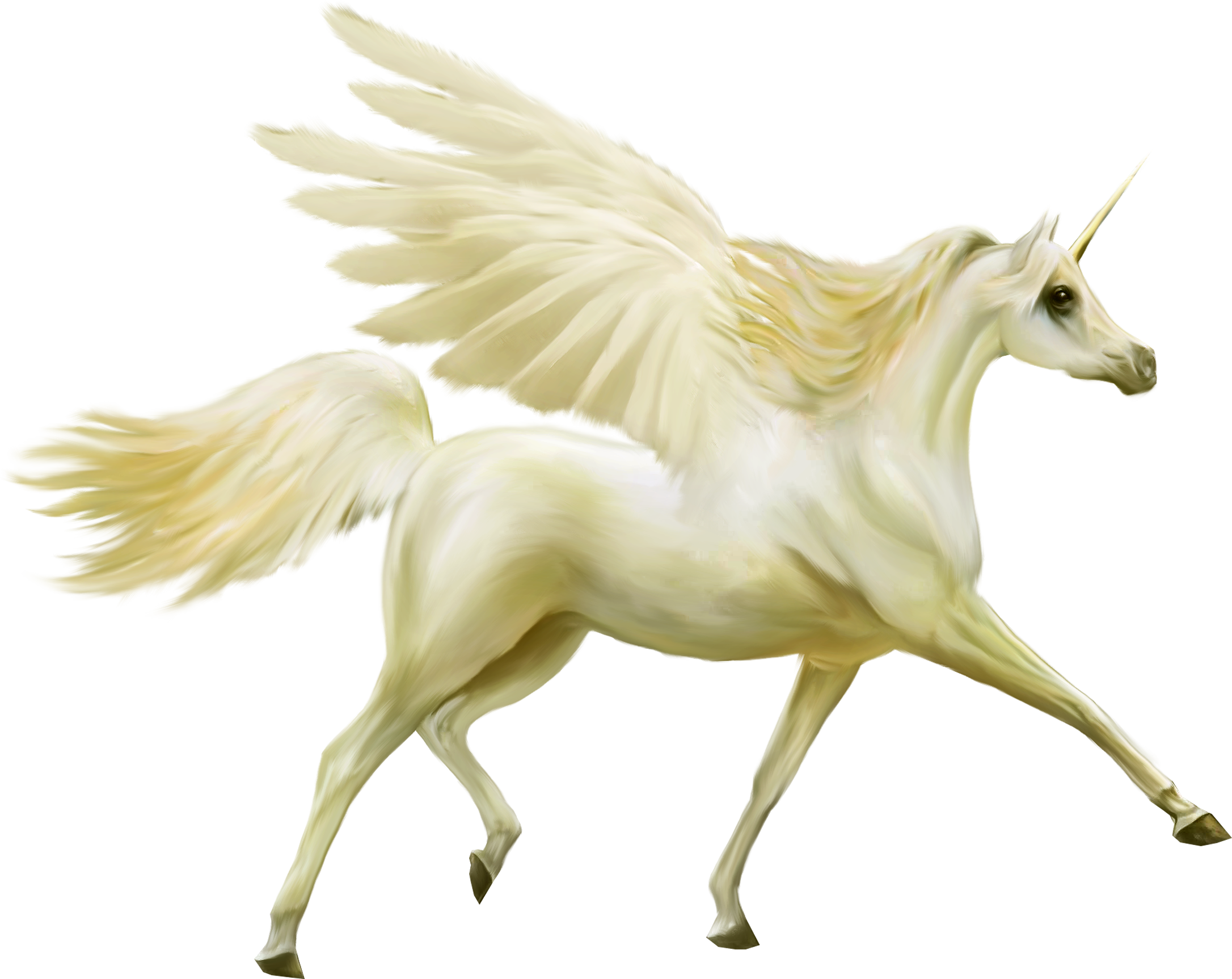 Pegasus Download Transparante PNG-Afbeelding