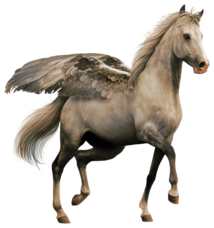 Pegasus бесплатно PNG Image