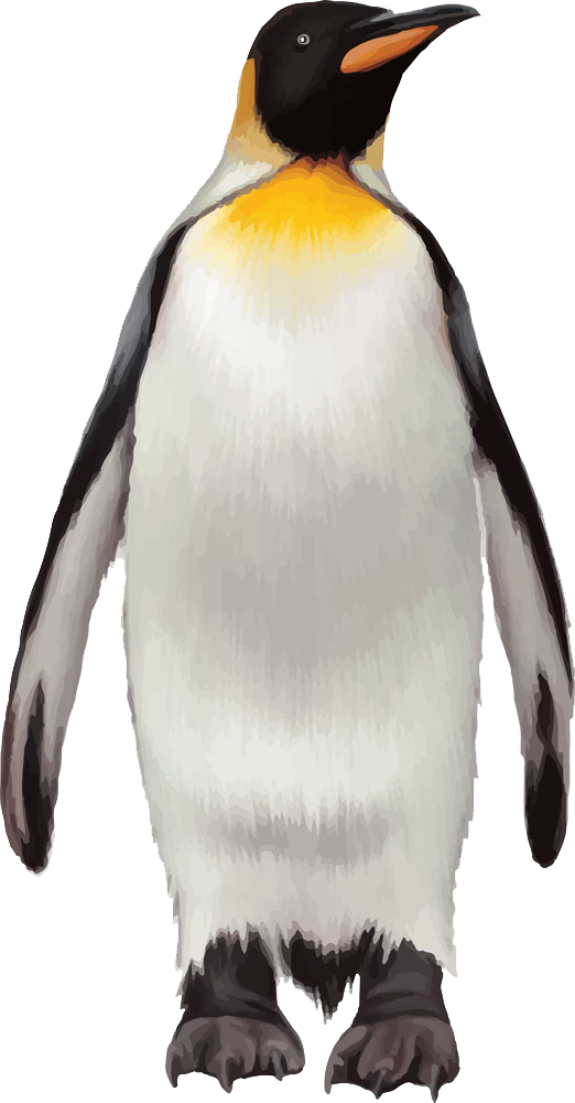 Пингвин прозрачный фон PNG