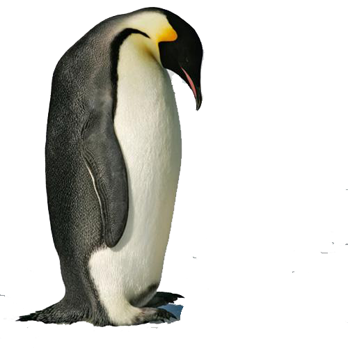 Pinguïn Transparant Beelds