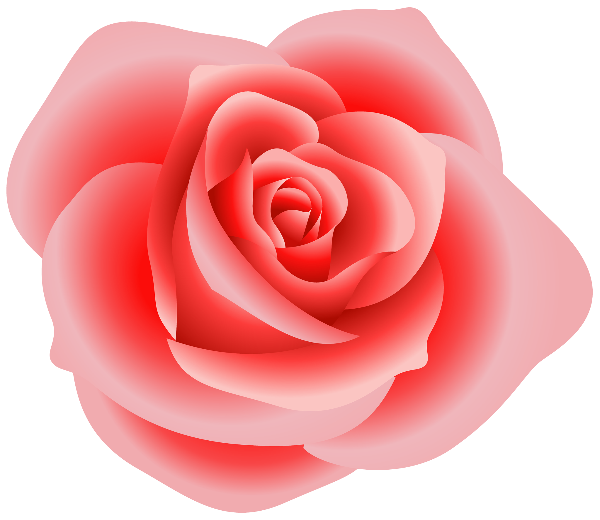 Pink Rose PNG High-Quality Image