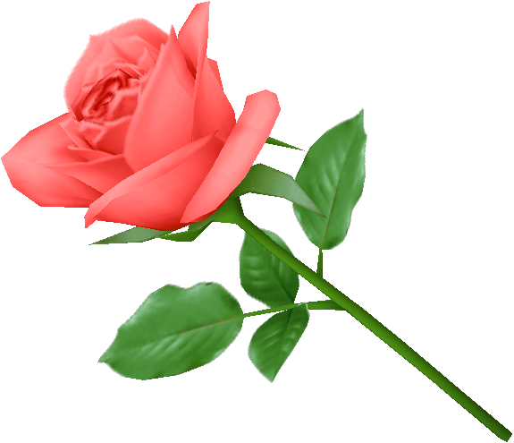 Pink Rose PNG Image Background