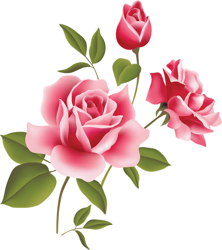Pink Rose PNG Transparent Image