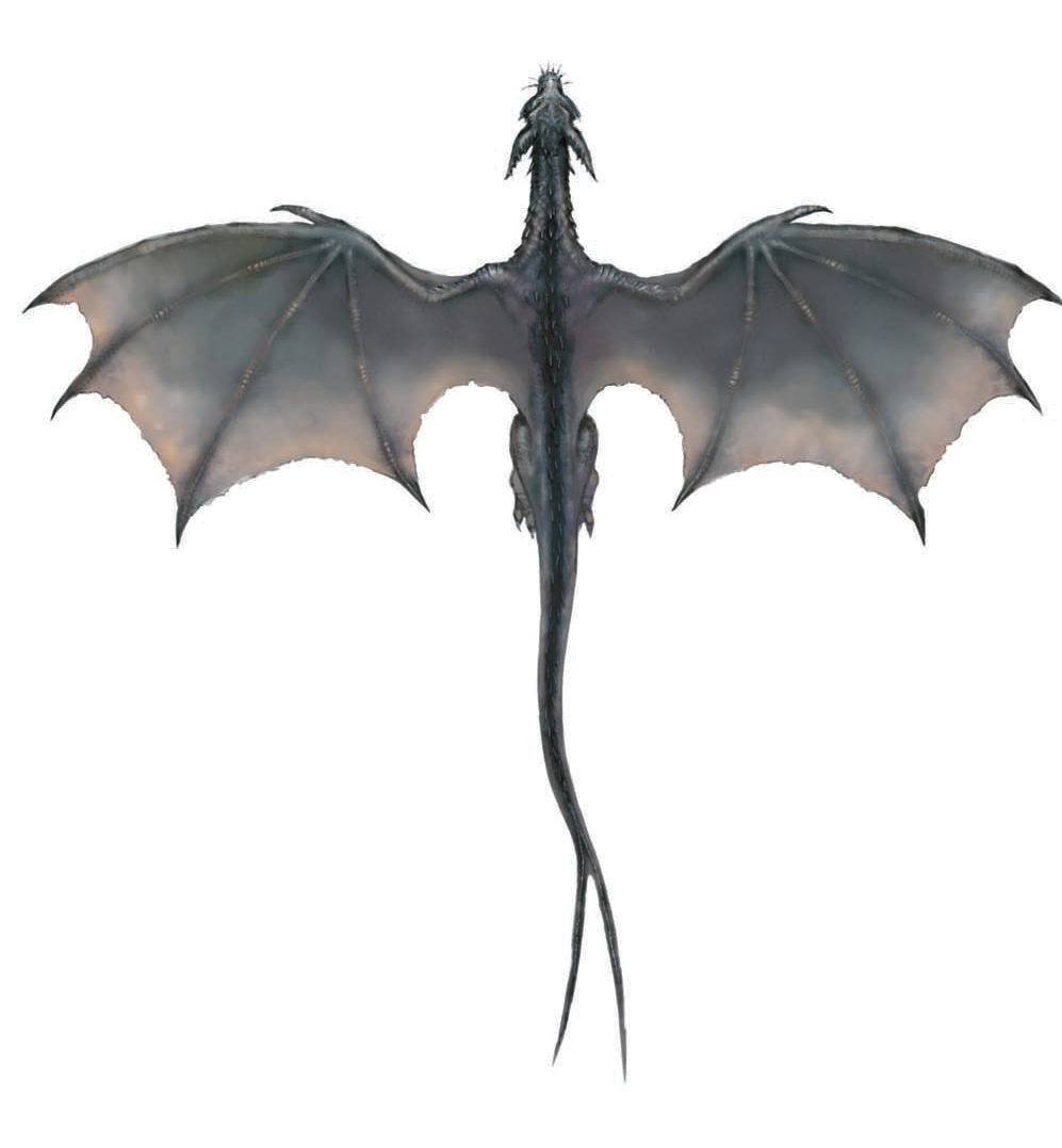 Realistic Dragon Free PNG Image