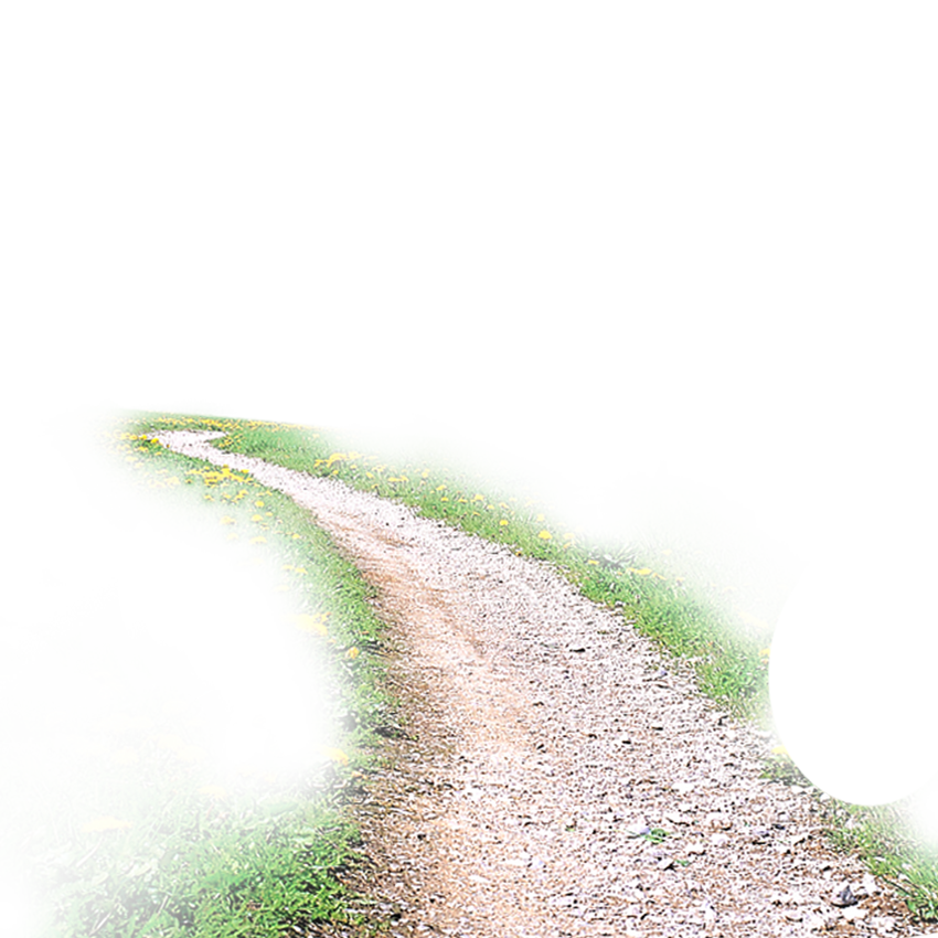 Road Side View PNG