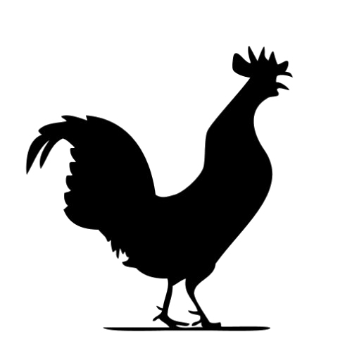 Rooster PNG Image