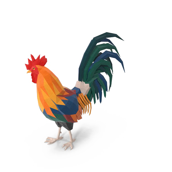 Gambar PNG Rooster