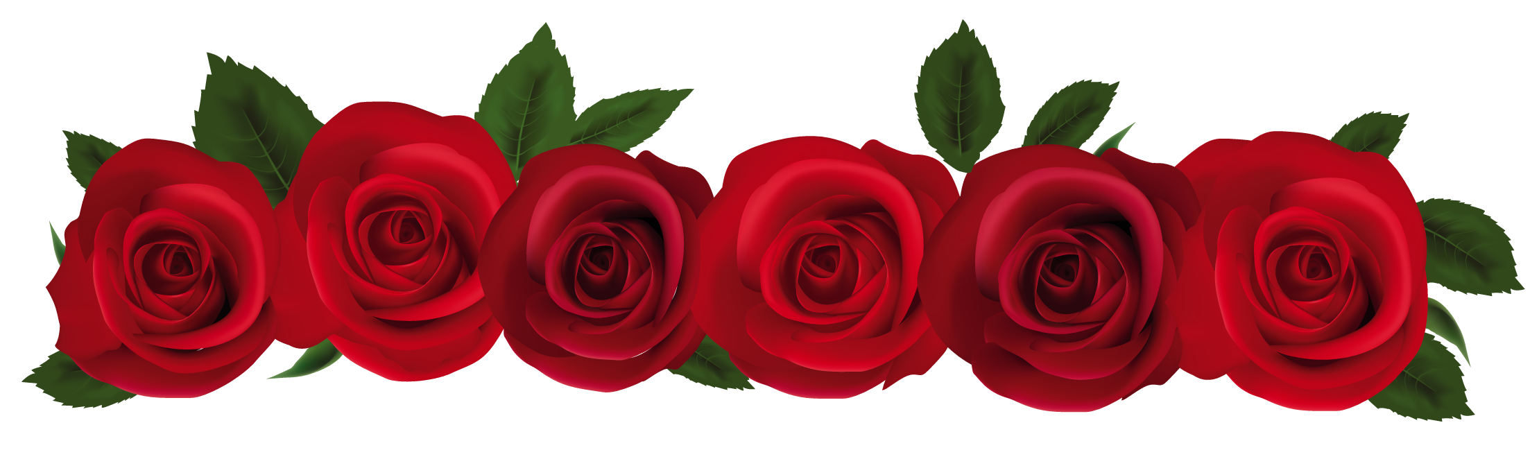 Rose PNG High-Quality Image