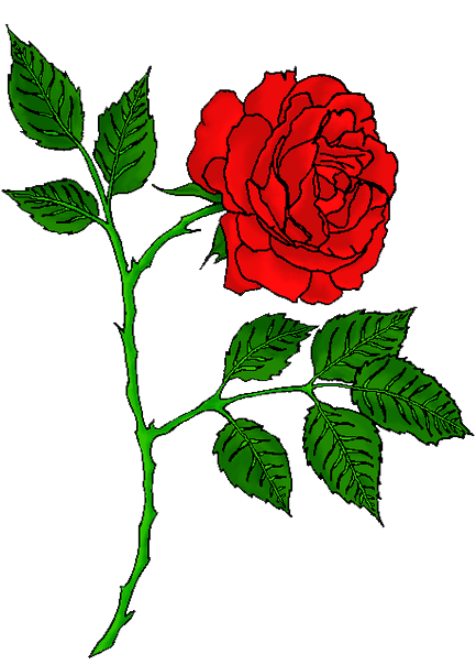 Rose Tattoo PNG Image Background