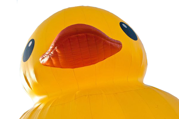 Rubber Duck PNG Pic