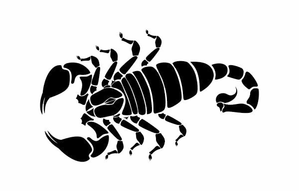 татуировка Scorpio Black scorpion scorpion Sting Scorpio tattoo  arachnid Scorpion fotosearch arthropod insects  Anyrgb