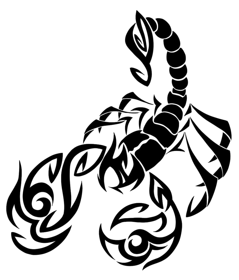 Scorpion tattoo PNG transparent image download size 256x256px
