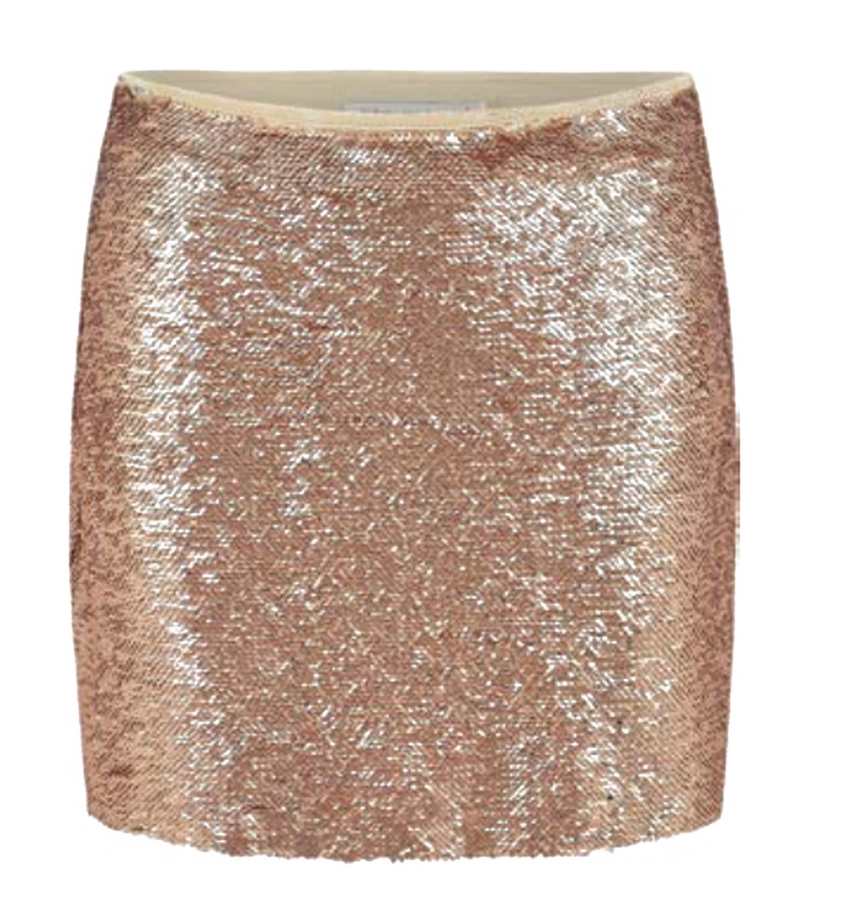 Sequin Skirt Transparent Image