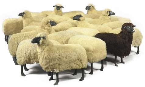Sheep PNG High-Quality Image