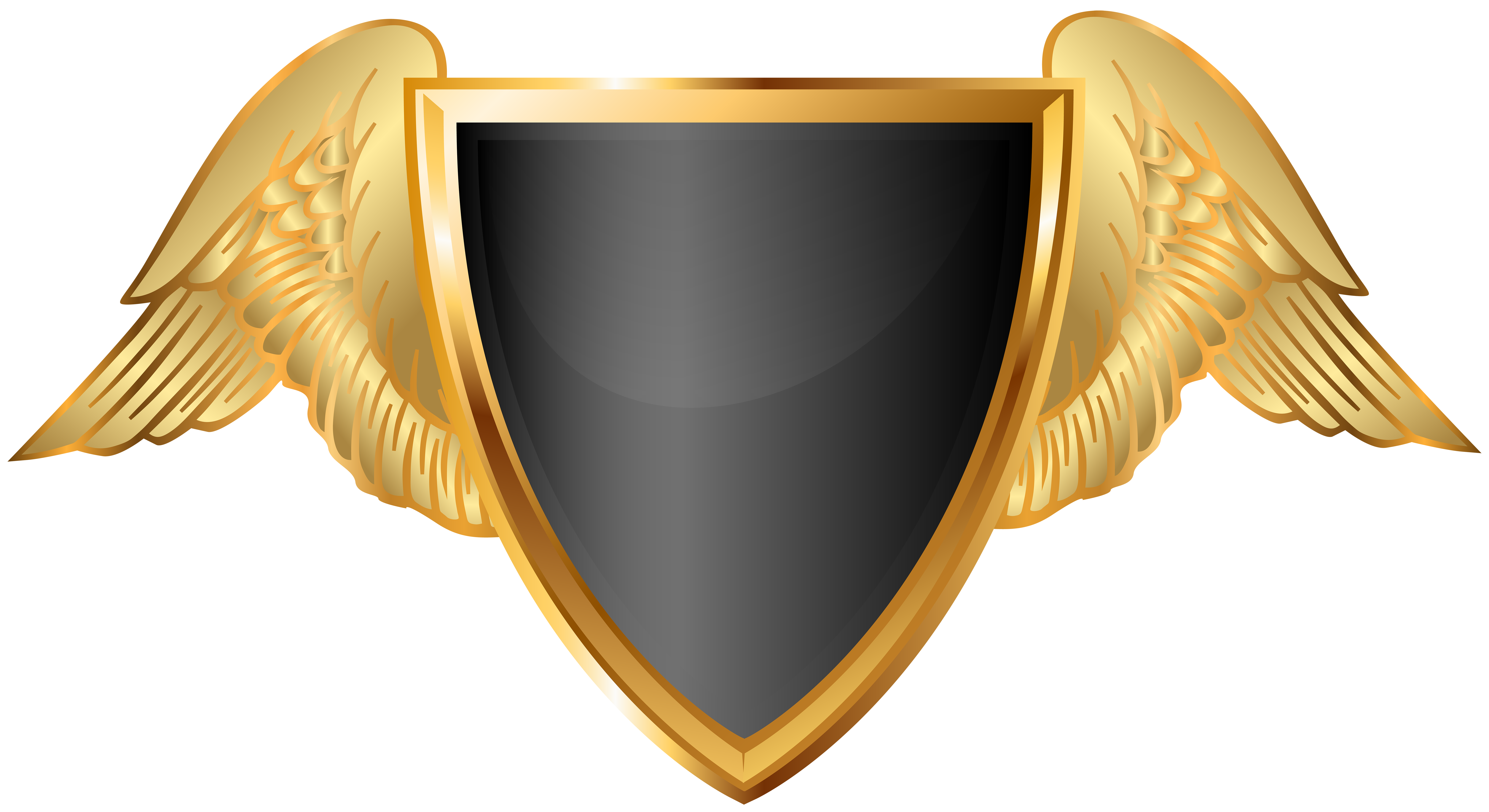Shield Badge PNG Photo