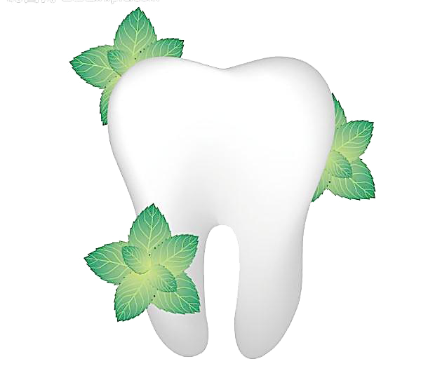 Image de PNG de dents unique Transparent