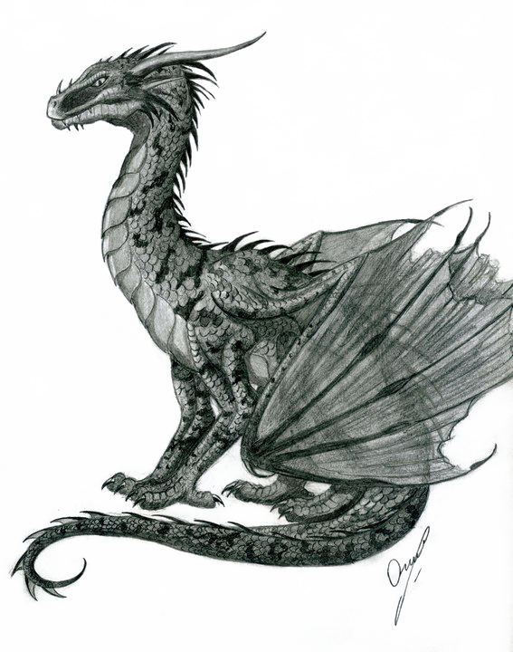 Fond de limage de dragon dragon PNG