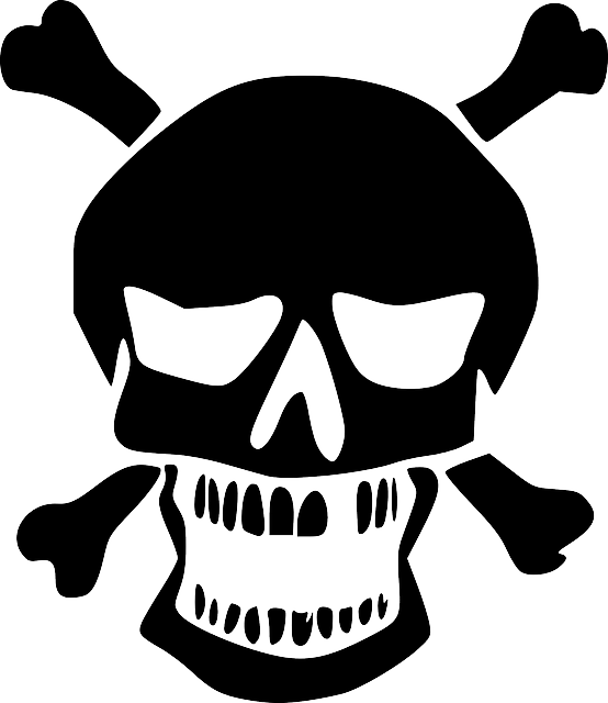 Skeleton Head PNG Download Image