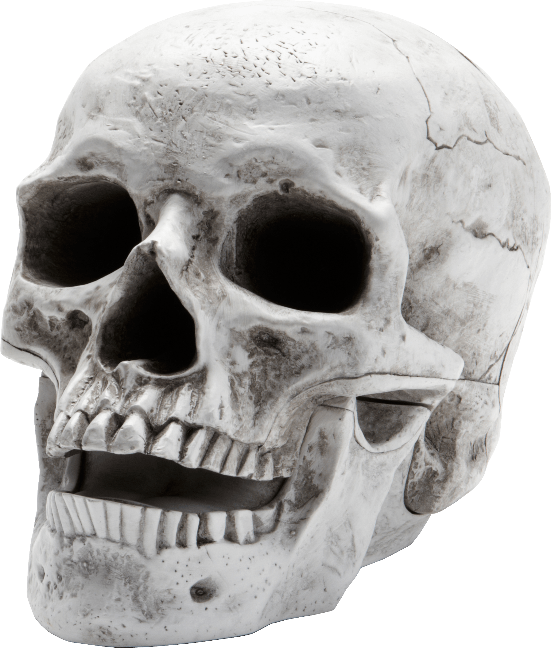 Skeleton Head PNG Free Download