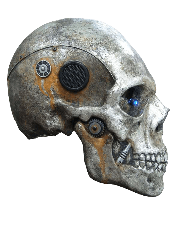 Skeleton Head PNG Foto