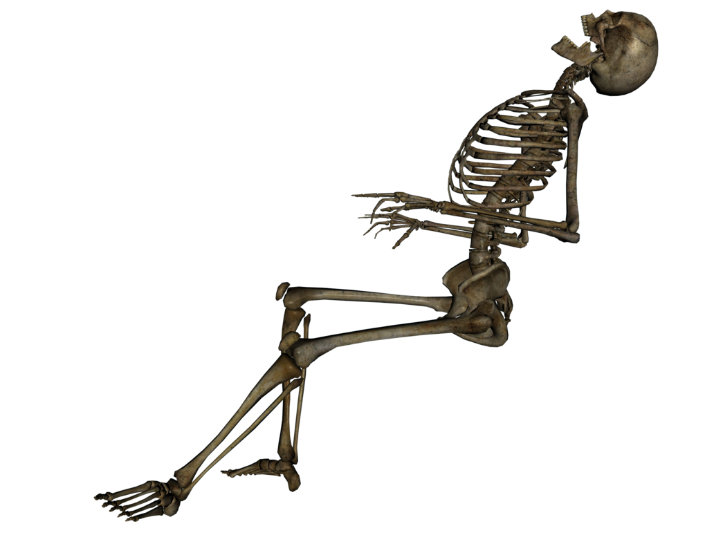 Imagen de fondo de PNG esqueleto
