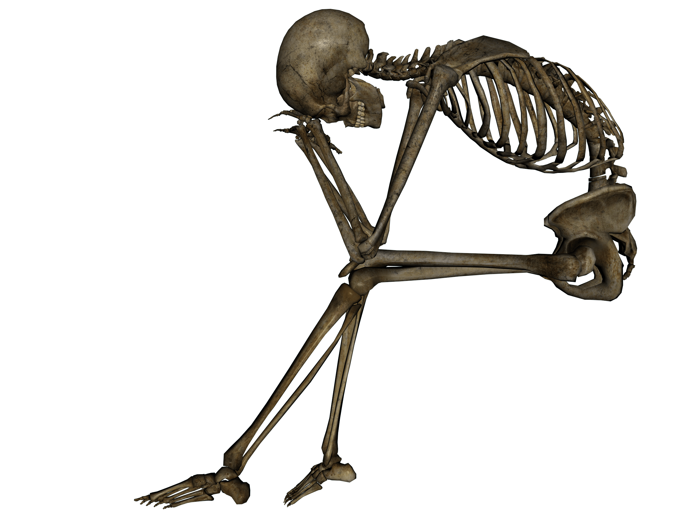 Imagen del esqueleto PNG de alta calidad