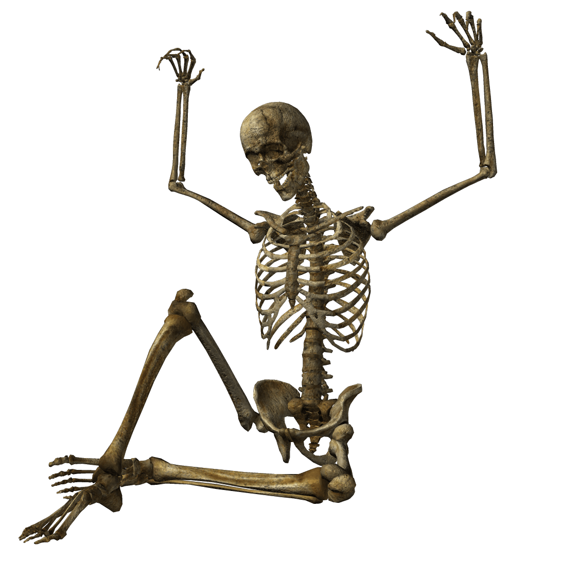 Fondo de imagen de PNG esqueleto