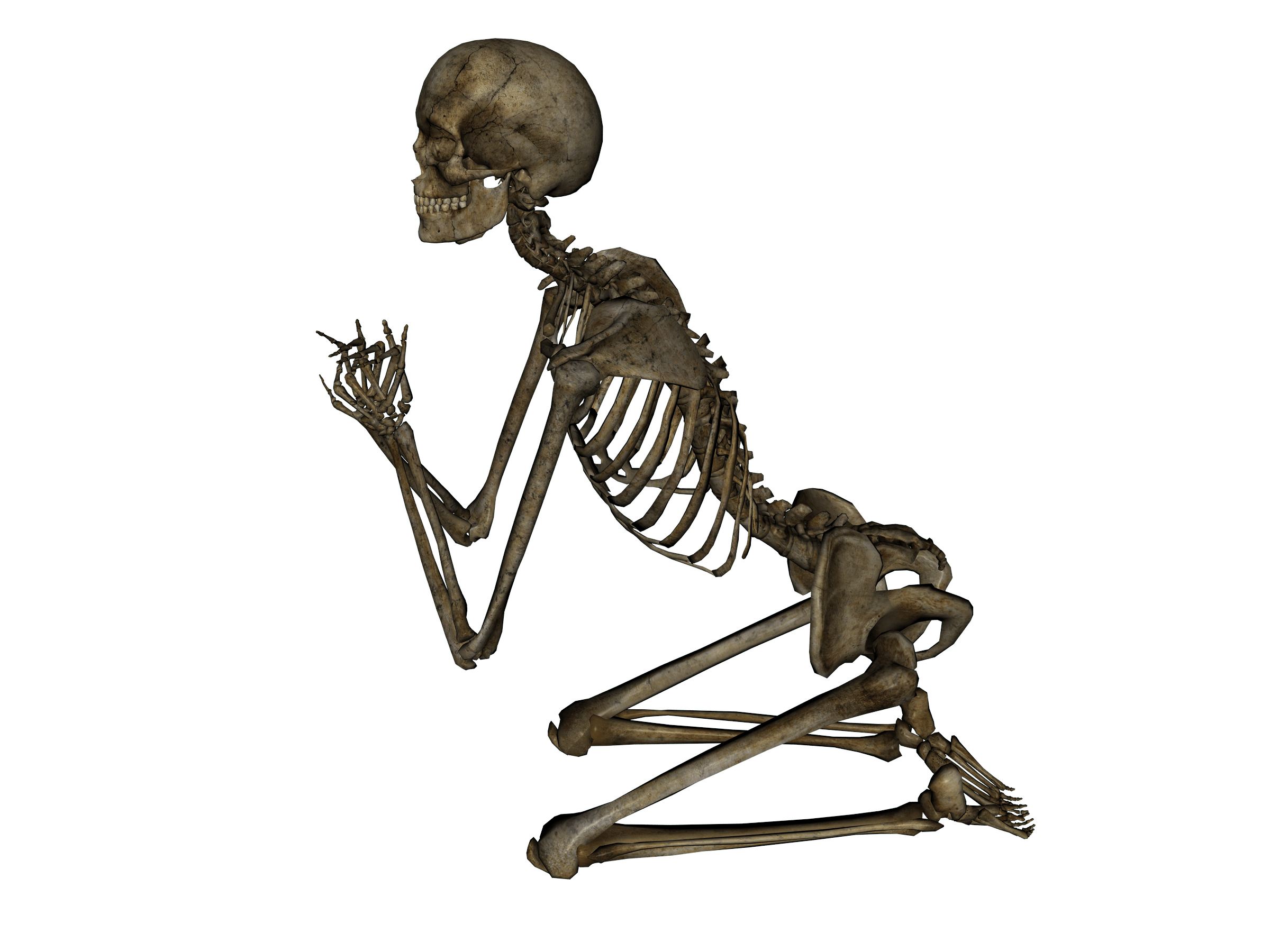 Foto PNG esqueleto