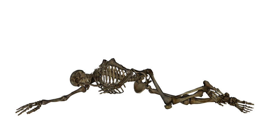 Skeleton PNG Picture