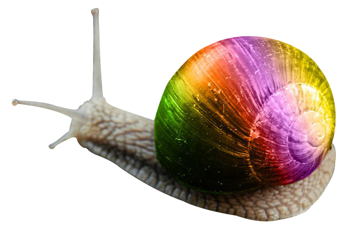 Snail PNG Immagine Trasparente sfondo