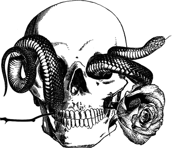 Snake Tattoo GRATUIt PNG image