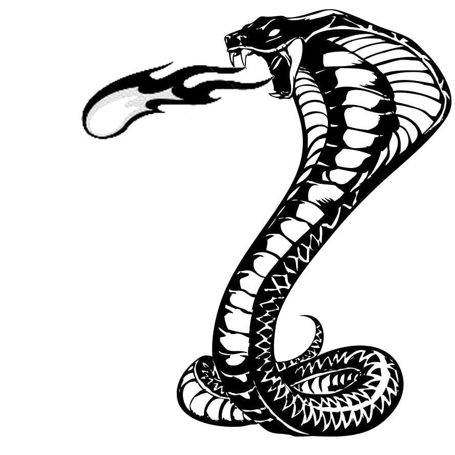 Image de fond de tatouage de serpent
