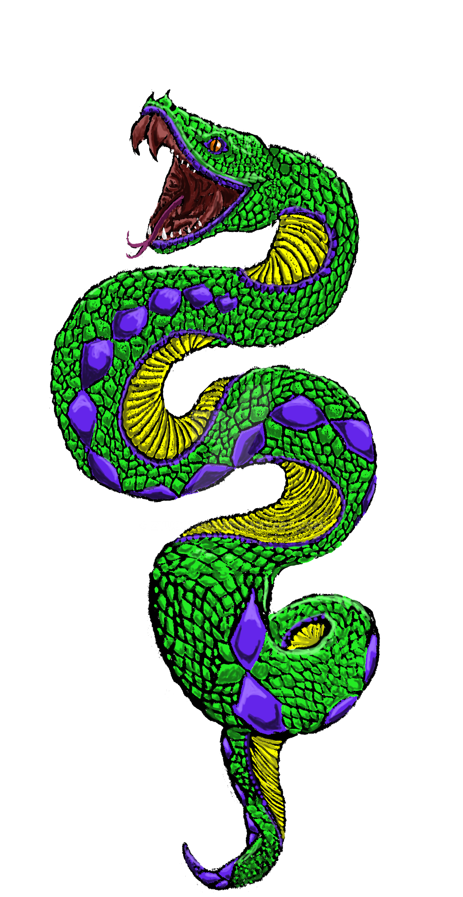 Snake Tattoo PNG High-Quality Image