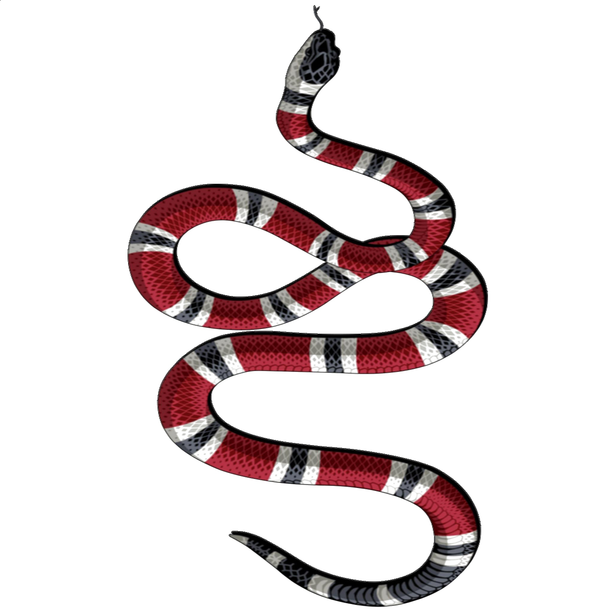 Snake Tattoo Transparent Background PNG