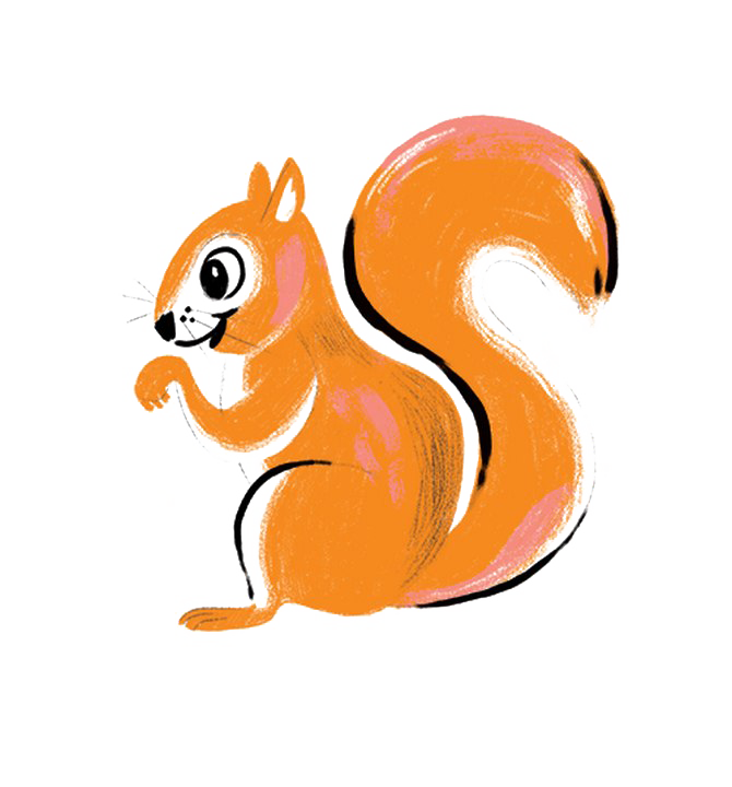 Squirrel PNG Picture