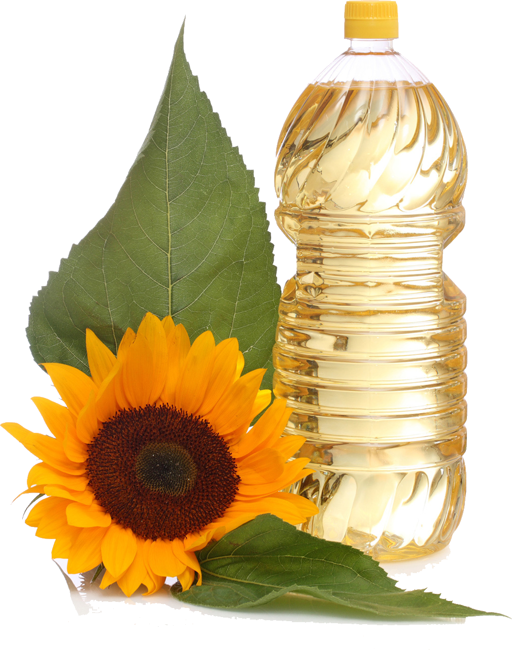 Sunflower Oil Free PNG Image