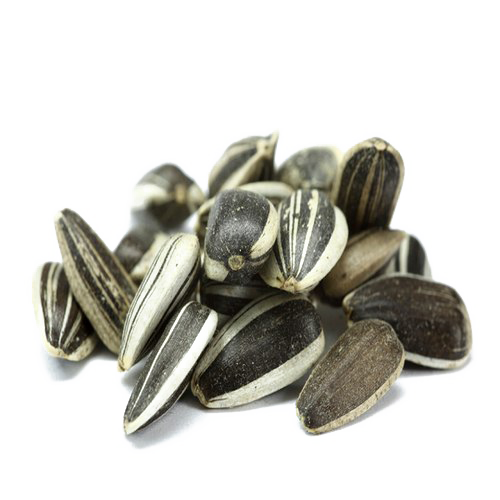 Sunflower Seeds PNG Free Download
