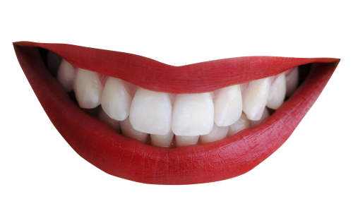 Teeth Transparent Background PNG