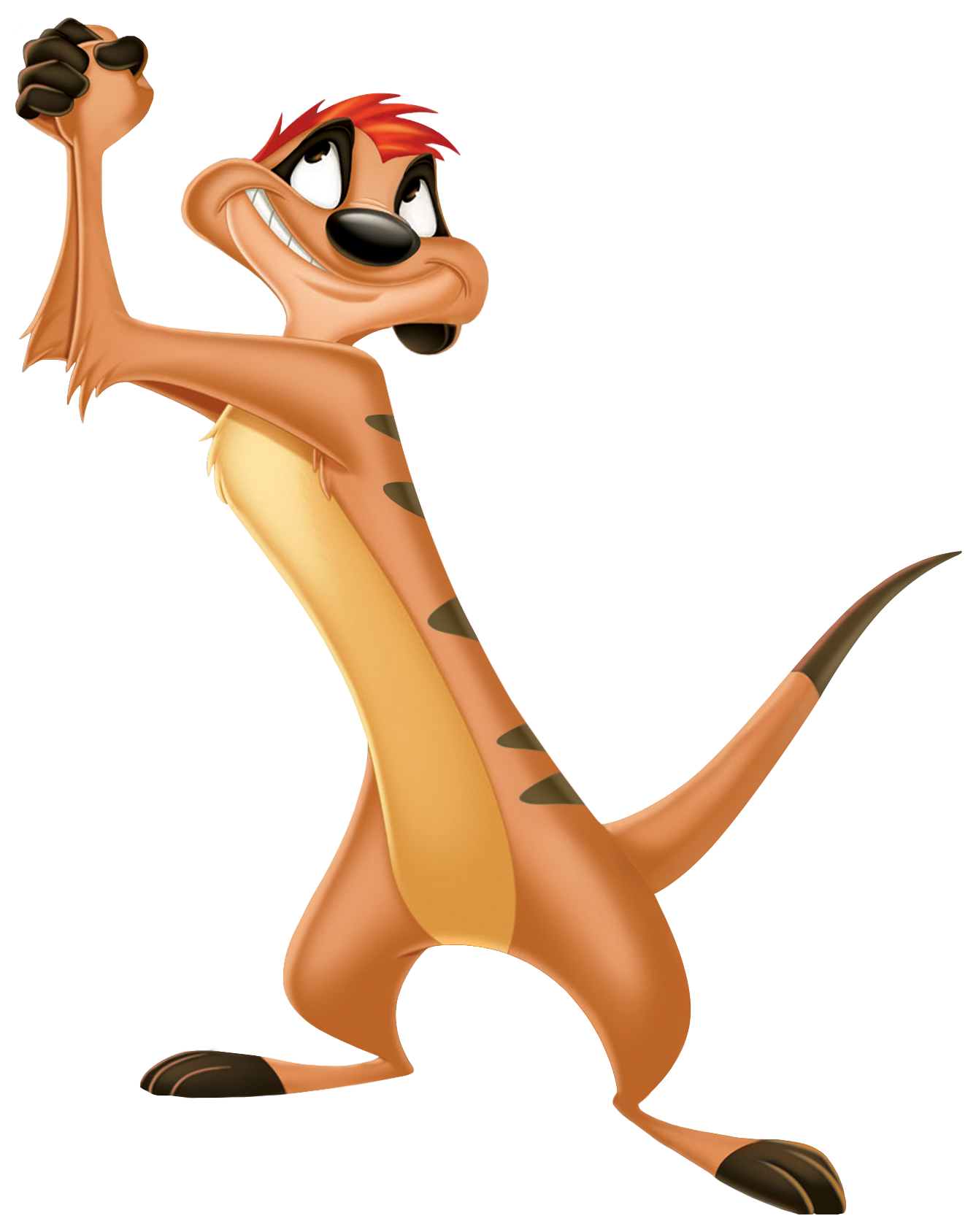 Timon PNG Transparant Beeld