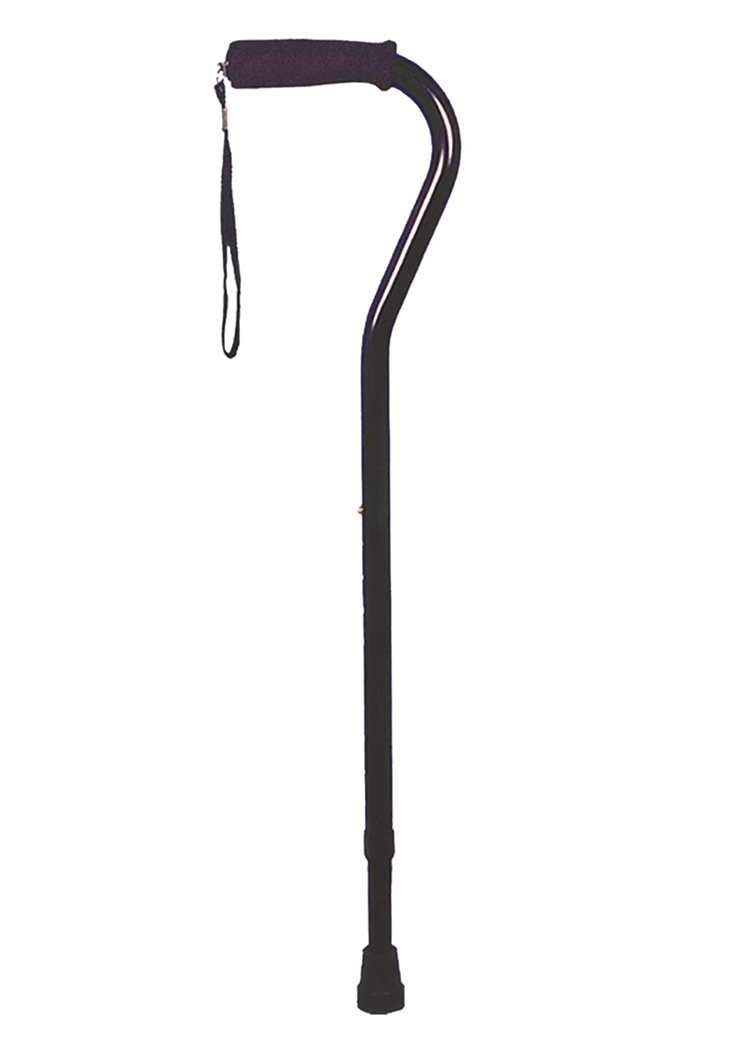 Walking Stick PNG High-Quality Image