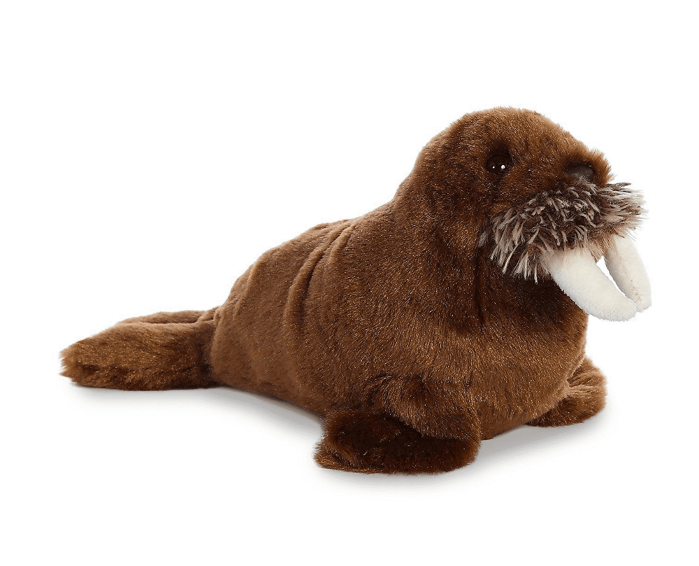 Walrus PNG Free Download