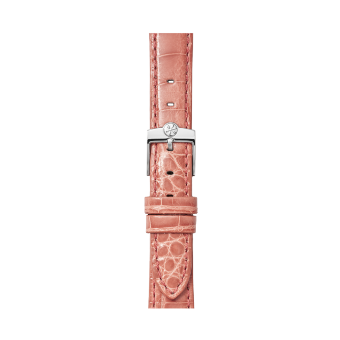 Watch Strap PNG Photo