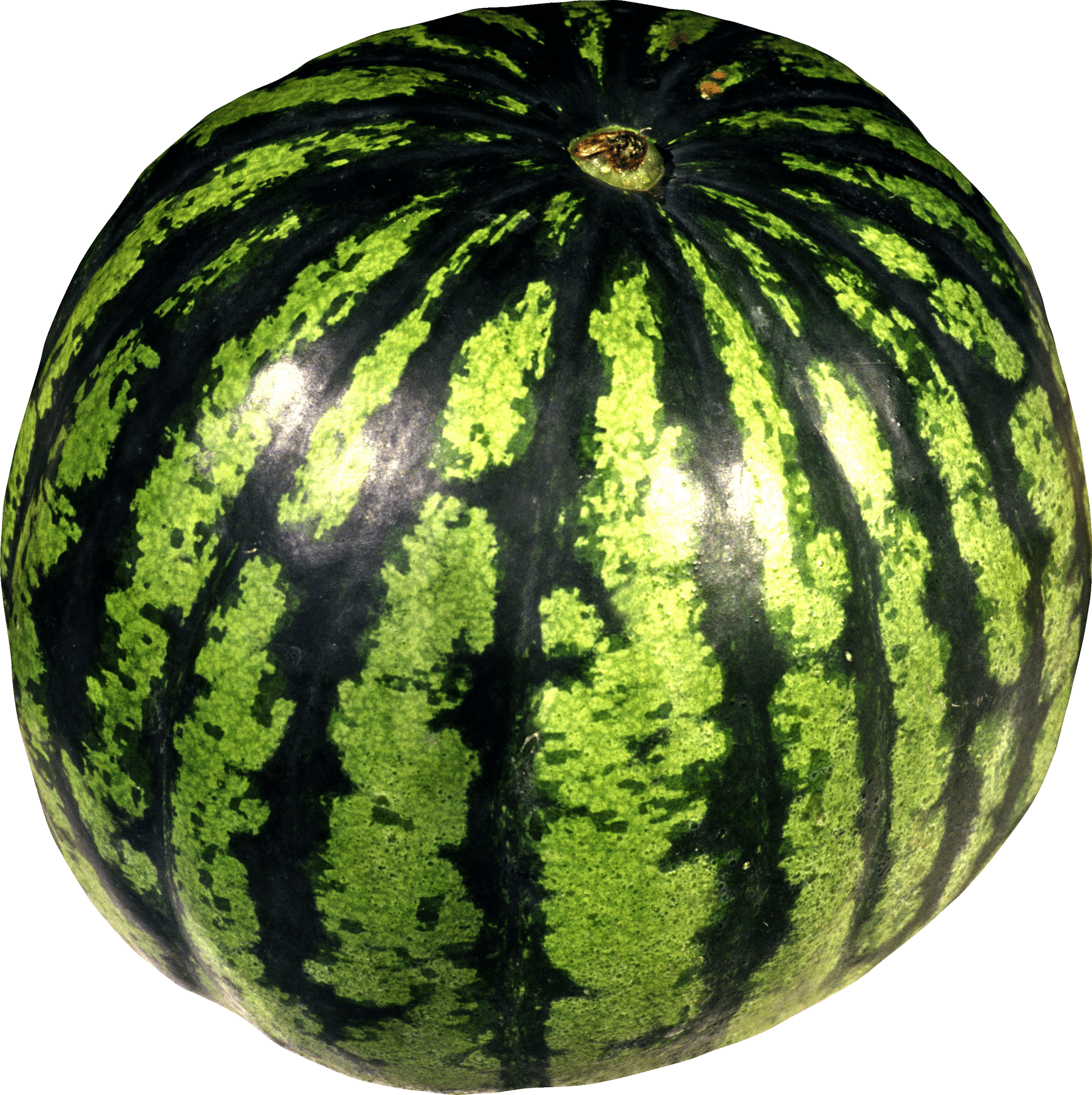 Watermelon PNG Free Download