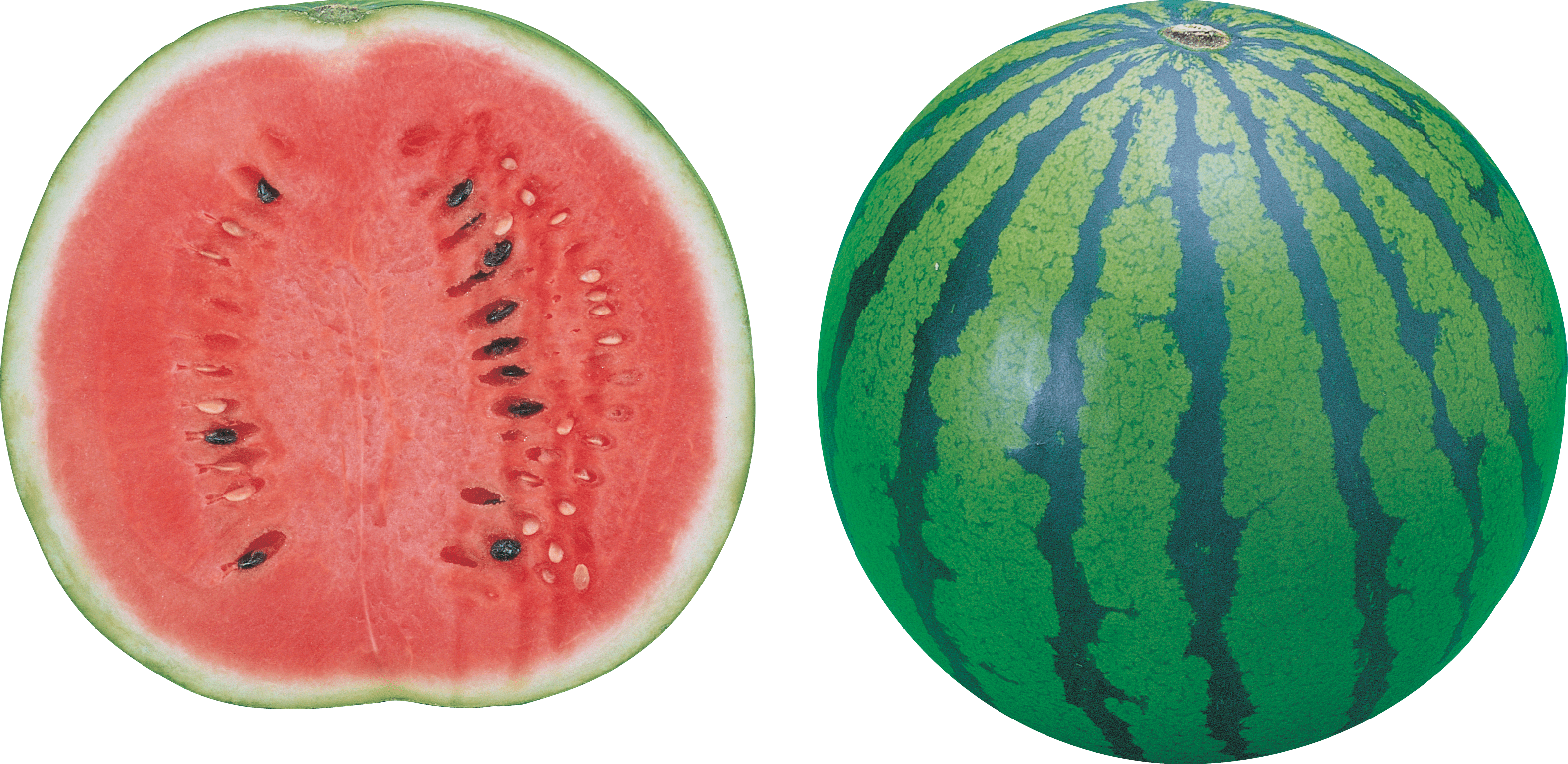 Watermeloen PNG Transparant Beeld