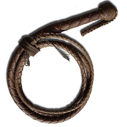 Whip Free PNG Image