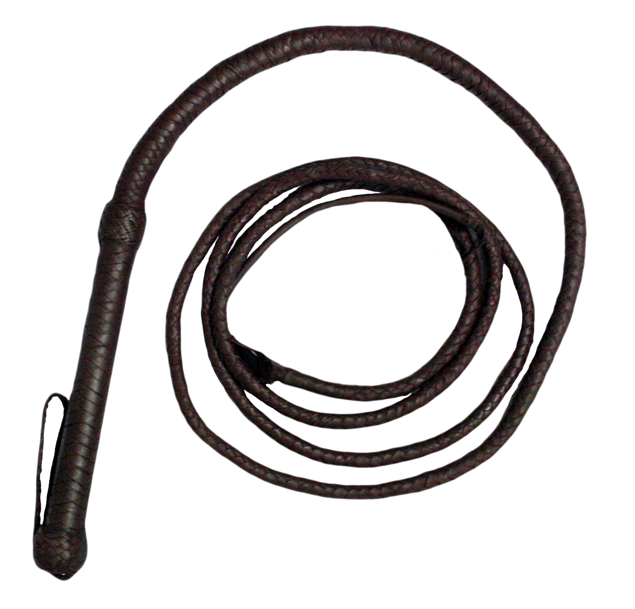 Whip PNG Free Download