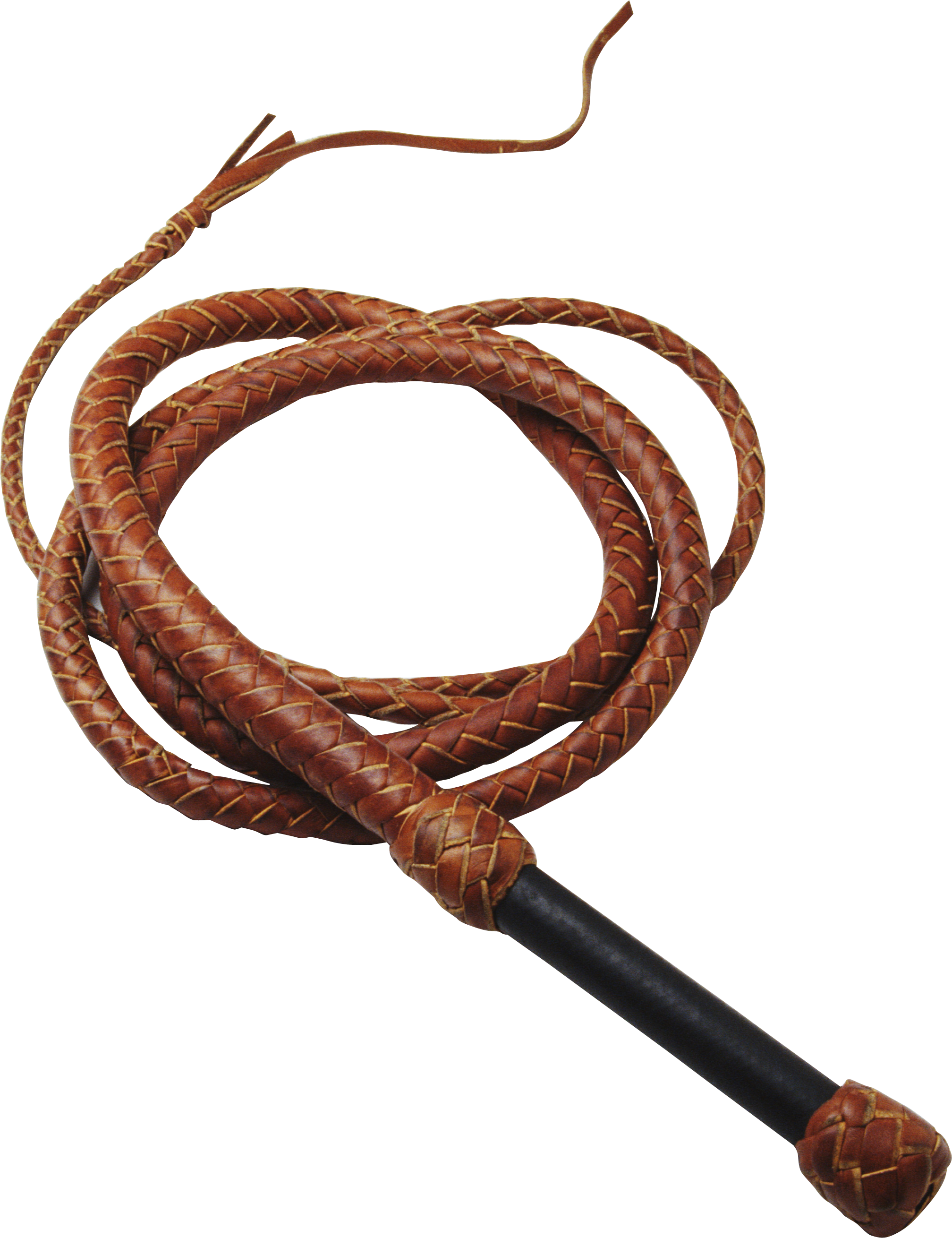 Whip PNG High-Quality Image