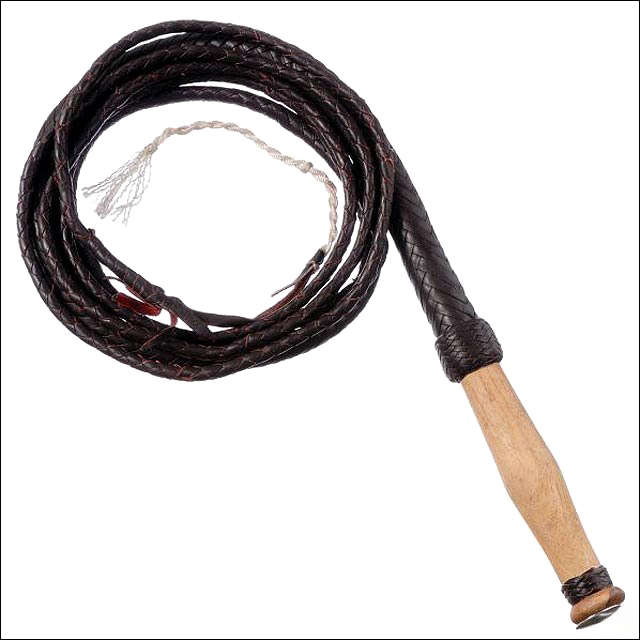 Whip PNG Image Background