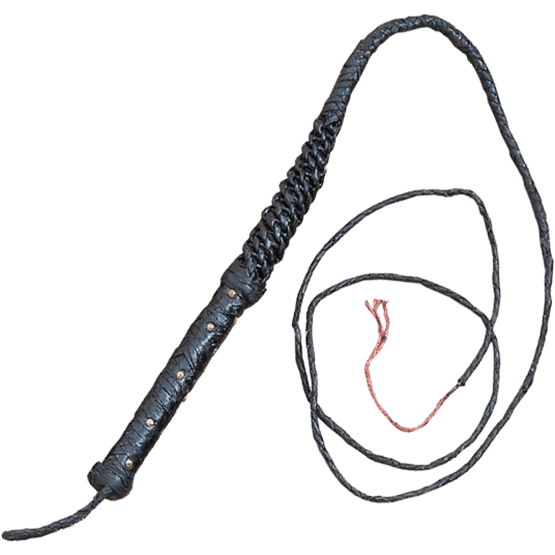 Whip PNG Picture